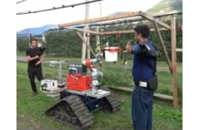 Gesture recognition for robot-assisted fruit harvesting